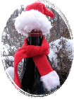 schneeweisschen2011003024.jpg