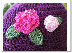 schneeweisschen2011006010.jpg