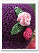 schneeweisschen2011006013.jpg