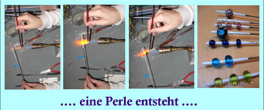 schneeweisschen2011011001.jpg